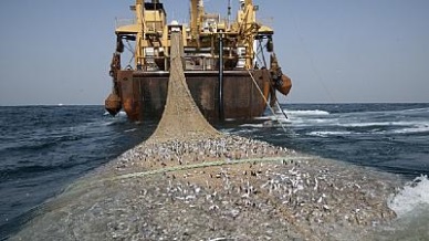 EU and the Republic of Korea join forces in fight against IUU fishing