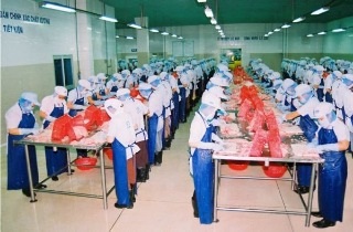 Gepimex 404 continues to boost surimi exports to South Korea