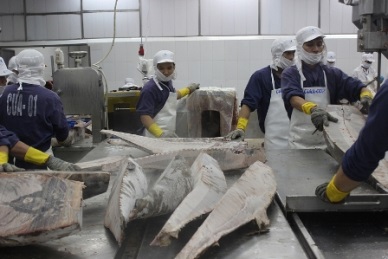 Greece rose imports of Vietnamese tuna 