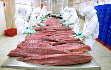 Tuna exports dropped by 2.4% in September 