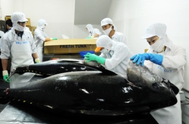 Tuna exports growth tended to slow down 