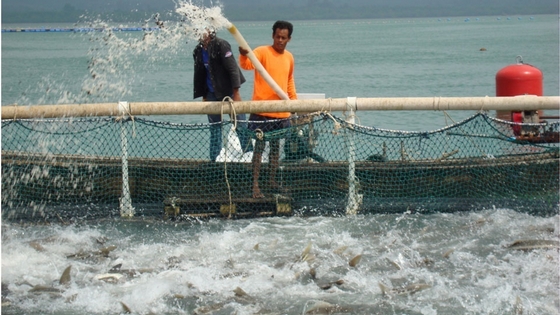 Thailand reports first export growth since 2011s record flooding