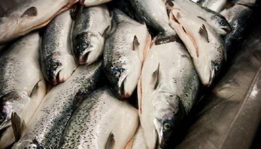 Money for fish waste
