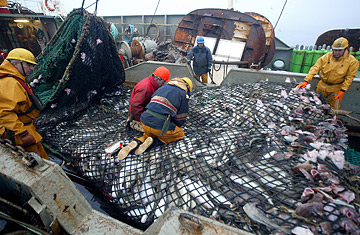 Russia wants to expand catch certification system in Barents Sea to Far East fish exports