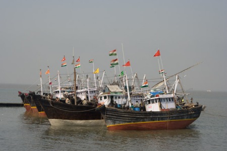 Seafood exports may come to a halt