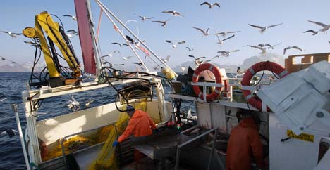 NORWAY Seafood Exports Declined in First Quarter