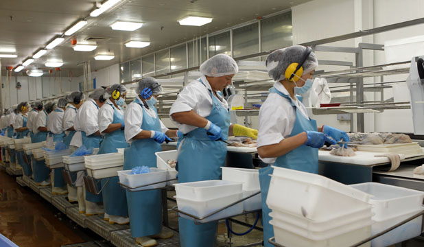 Chinas demand for rock lobster, hoki and squid places it as NZs top seafood importer