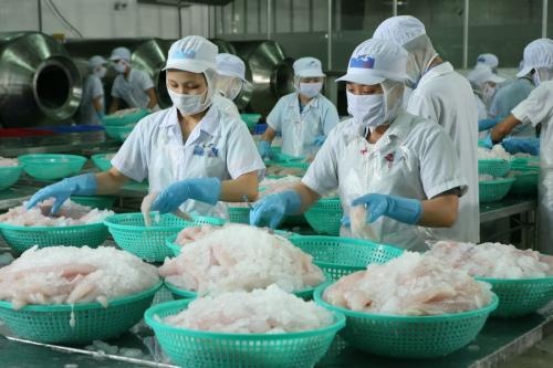 Vietnam seafood exports to Italy increased


