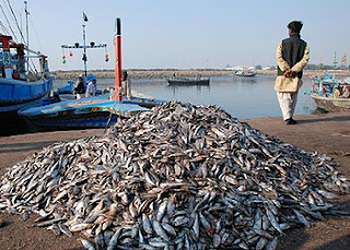 EU ban on Pakistan politically motivated