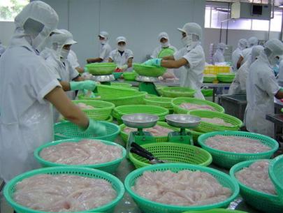 92.3 percent of seafood companies need urgent capital in Q.II2012