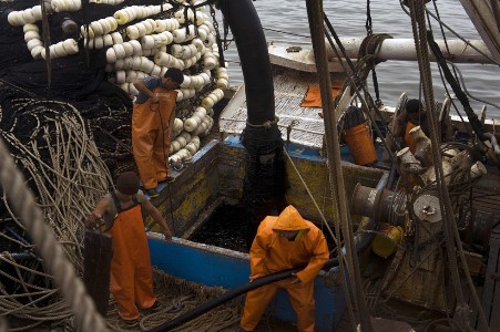 Peru Fish exports record outstanding rise 