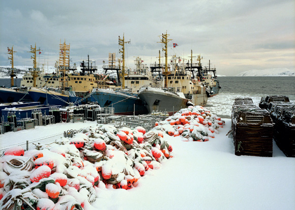 Russian seafood industry getting ready to join WTO