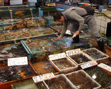 Seafood sales surge in Taiwan after meat scare