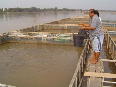 Thailand to liberalize rules on fisheries sector investment
