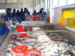 Vietnam seafood exports target US$6.5 billion in 2012


