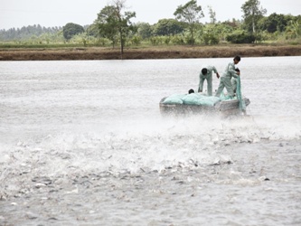 2012 Vietnam fisheries industry renovates to develop
