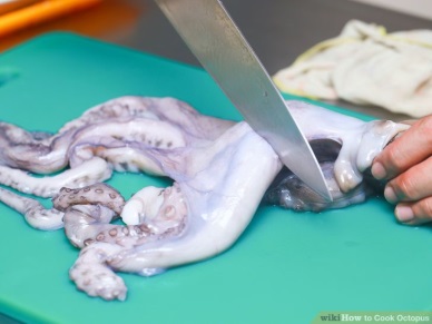 Down in cephalopod exports to Italy due to higher price