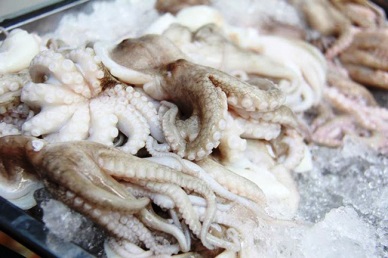 ASEAN - A potential alternative market for Vietnamese cephalopod