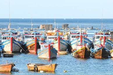 BIDV Quang Ngai Good captains can access to VND 15,000 billion credit package.