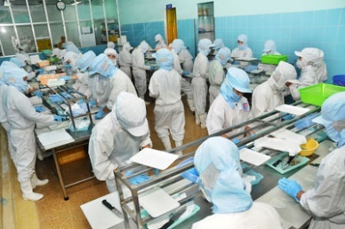 Binh Thuan Seafood exports totaled US$52 million in Jan-Aug 2013