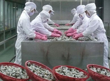EU - Vietnams bivalve importing market 