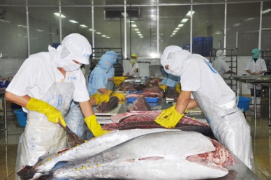 Apr 2018 Fluctuation in Vietnam tuna exports