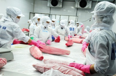 Israel and Mexico - 2 notable markets for Vietnam tuna in 2017