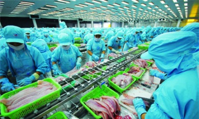 Report on Vietnam seafood exports in QI2016
