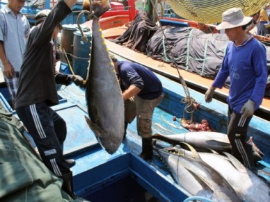 Provinces ramp up installation of systems to fight illegal fishing
