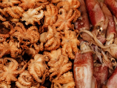 Cephalopod exports to South Korea ups 