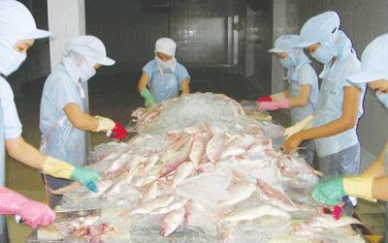 Coimex Export turnover reaches US$ 22 million