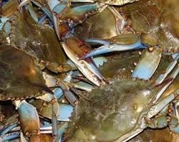 Blue Crab Bank a model to protect resources