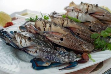 Jan-Aug 2016  Up 7% in Vietnam crab exports 