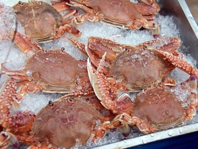 Crab exports falls 8%