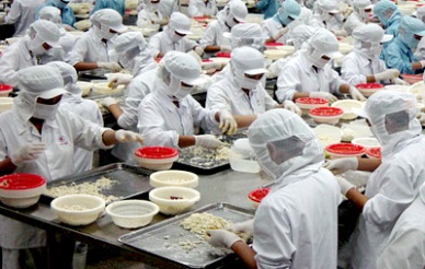 Ba Ria Vung Tau seafood exports increased by 13.65%