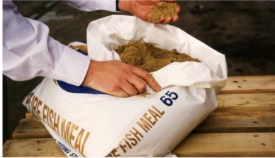 Drop in fishmeal prices not likely