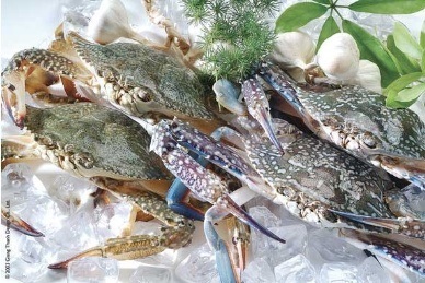 Vietnam crab sales up 9.8% in Jan-May 2016