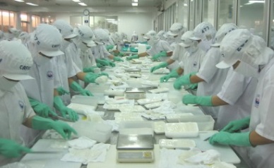 Aug 2016 Vietnam cepahlopod exports inch up slightly