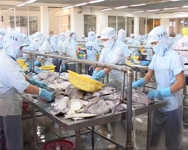 Khanh Hoa seafood exports reached US$ 260 million