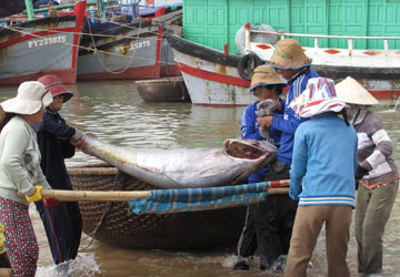 MARD’s target to reduce post-harvest fishery losses of 10%
