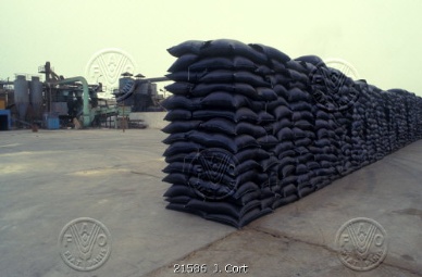 Chiles fishmeal export value soars to nearly US$60 million in Jan. on 50% increase in Chinese sales