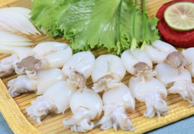 Spain- a good market for Vietnam cephalopod 