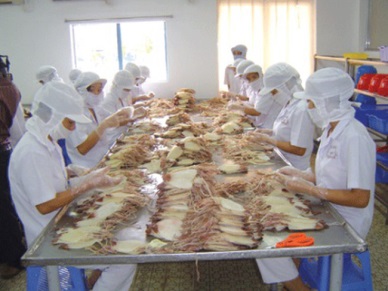Up 40% in Vietnam cephalopod exports 