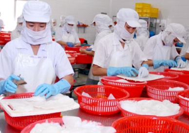 QIII2016 Up in Vietnam cephalopod sales 