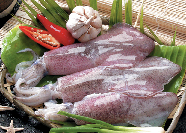 Vietnam mollusk exports increased sharply in March 2012