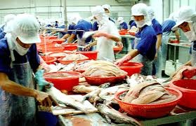 Khanh Hoa 43,200 MT of seafood harvested 