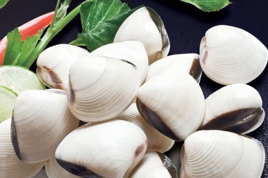 Vietnam bilvalve mollusk exports rose by 42% in July 2019