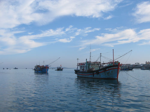 MARD urged to improve fishing forcasting activities 