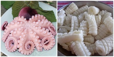 Jan-Apr 2017 Vietnam cephalopod exports to Japan went up 37%