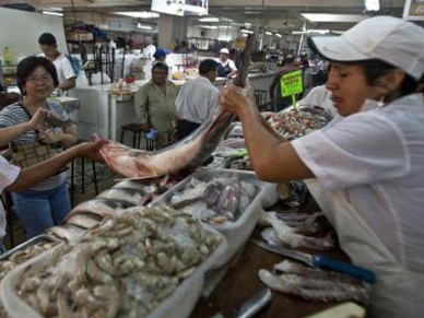 Peru´s seafood exports decline by nearly 50%